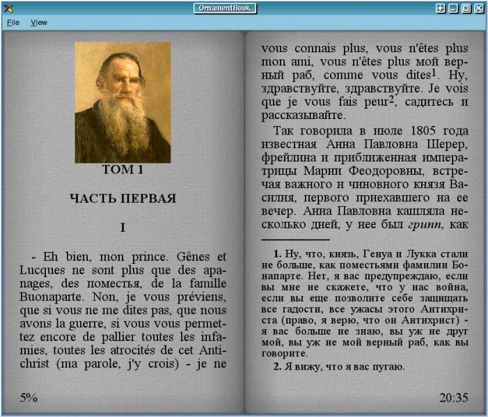 Файл:Ornam.jpg